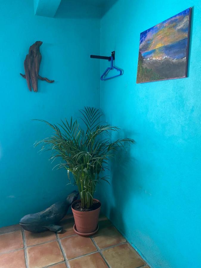 Casa Xochitl El Centenario Exterior foto